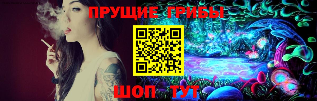 Псилоцибиновые грибы мицелий Липецк