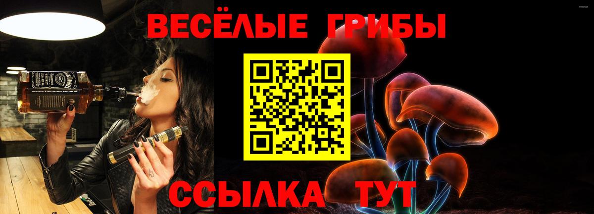 Псилоцибиновые грибы мицелий  Псилоцибиновые грибы GOLDEN TEACHER  Липецк  Вход с VPN 
